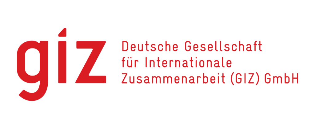 GIZ logo